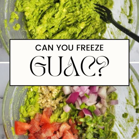 PIN FOR CAN YOU FREEZE GUACAMOLE?