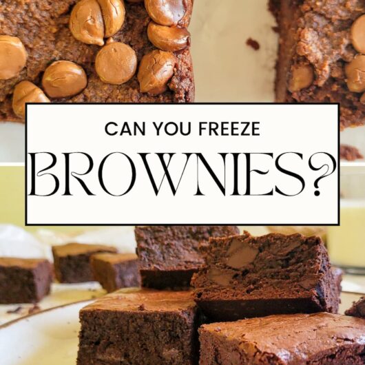 PIN FOR CAN YOU FREEZE BROWNIES