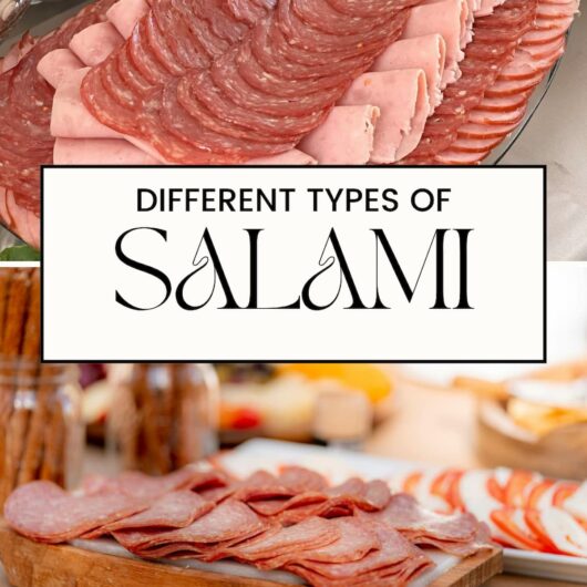 PIN FOR TYPES OF SALAMI
