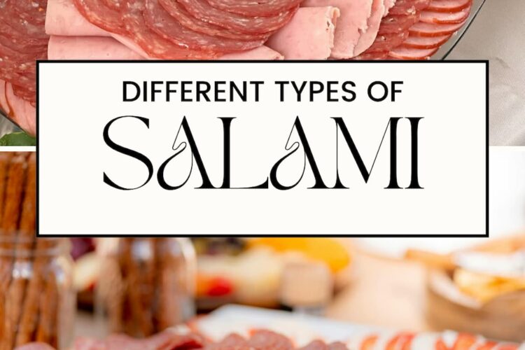 PIN FOR TYPES OF SALAMI