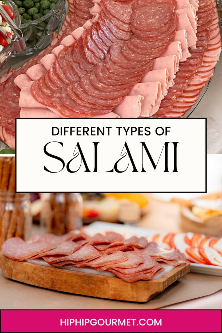 PIN FOR TYPES OF SALAMI