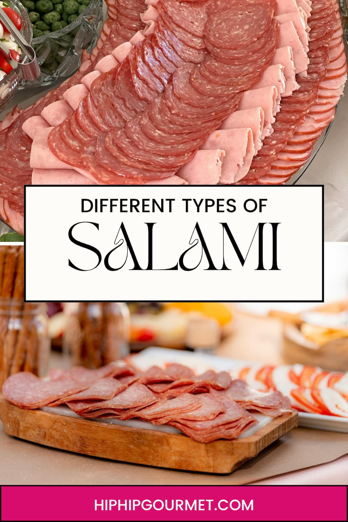 TYPES OF SALAMI