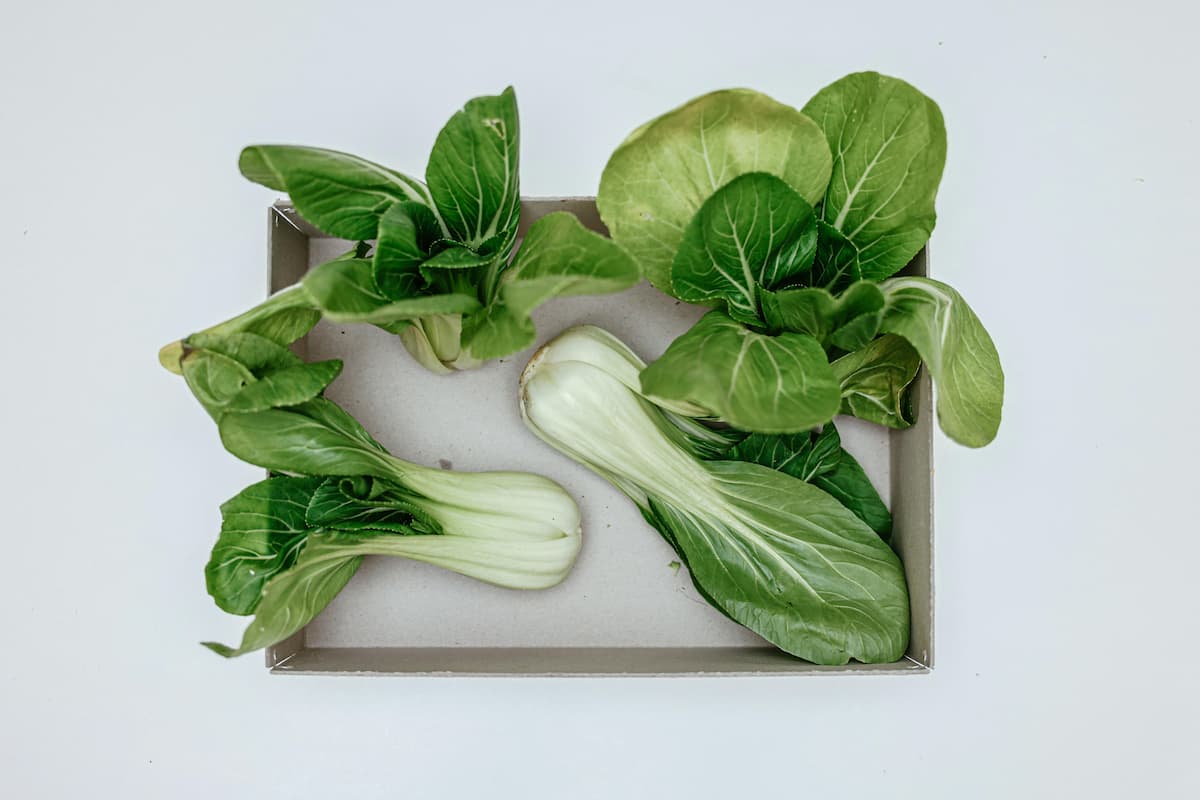 bok choy