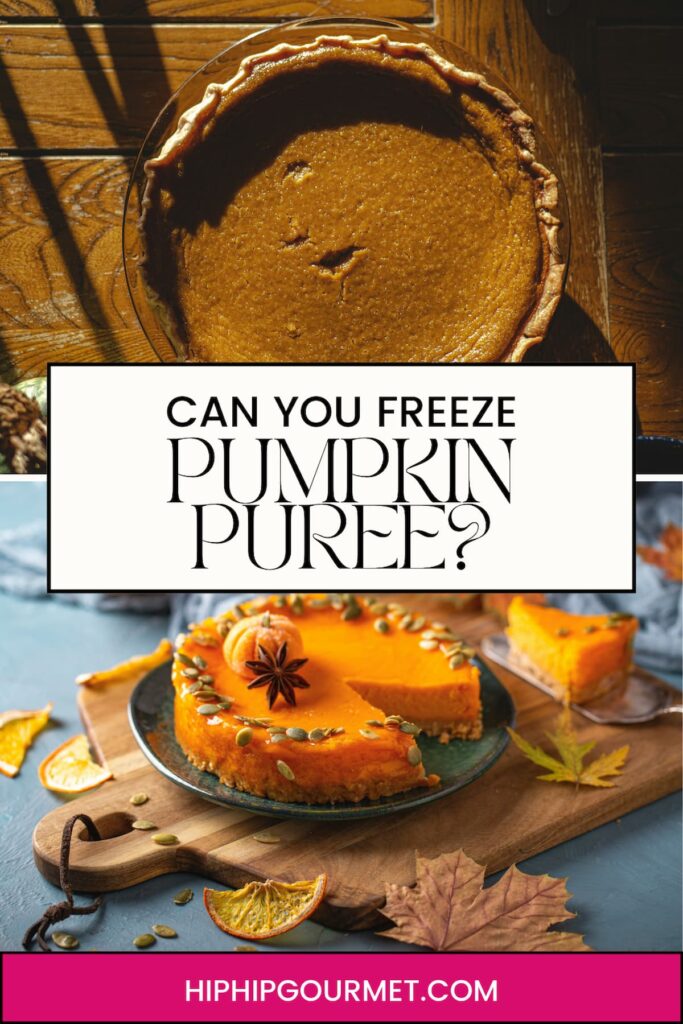 CAN YOU FREEZE PUMPKIN PUREE?