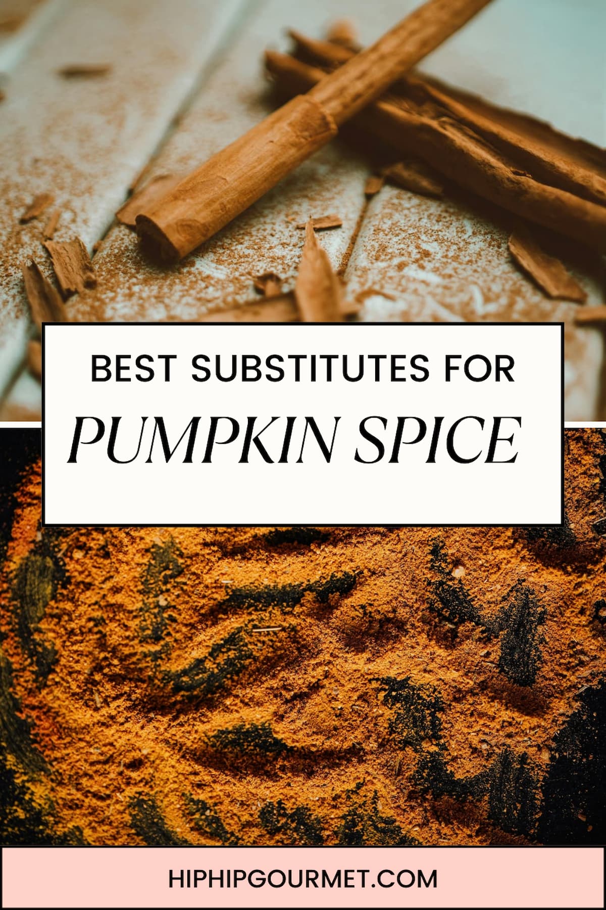 PIN FOR PUMPKIN SPICE SUBSTITUTES