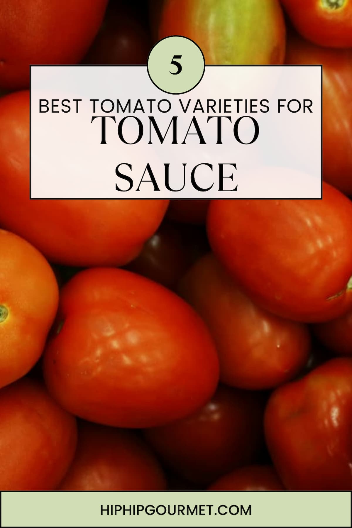 PIN FOR BEST TOMATOES FOR SAUCE