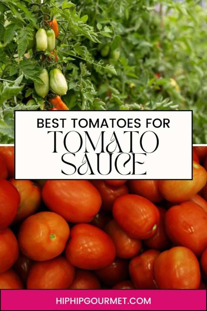 BEST TOMATOES FOR SAUCE