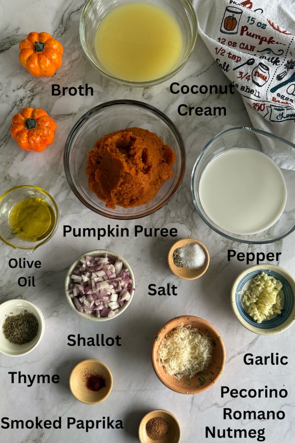 ingredients for pumpkin sauce - pumpkin puree, olive oil broth, coconut cream, shallots, garlic, pecorino romano, nutmeg, salt, pepper, thyme, smoked paprika