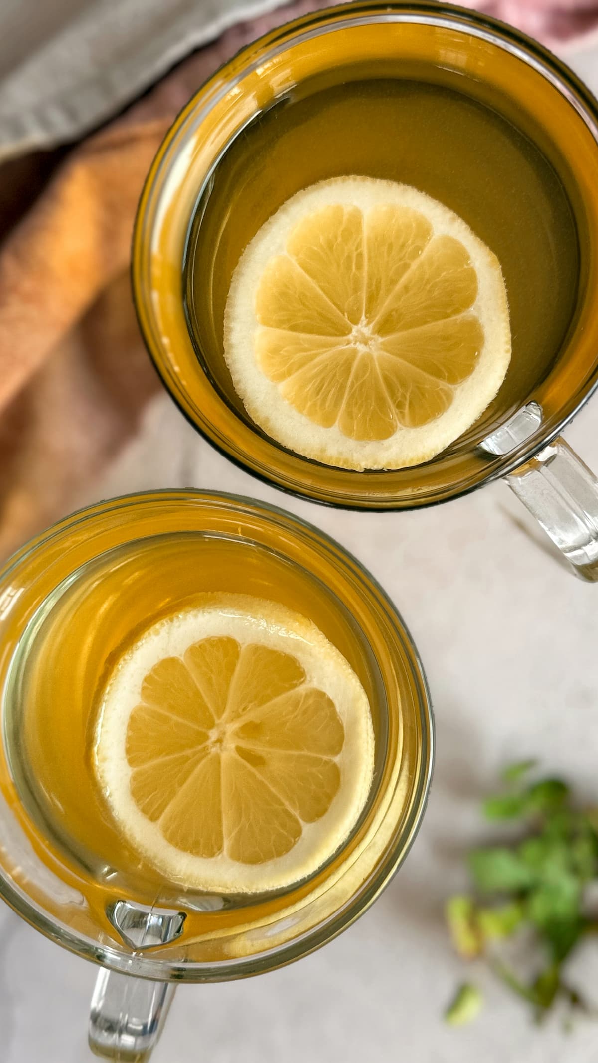 two glasses of rosehip tea with lemon slices