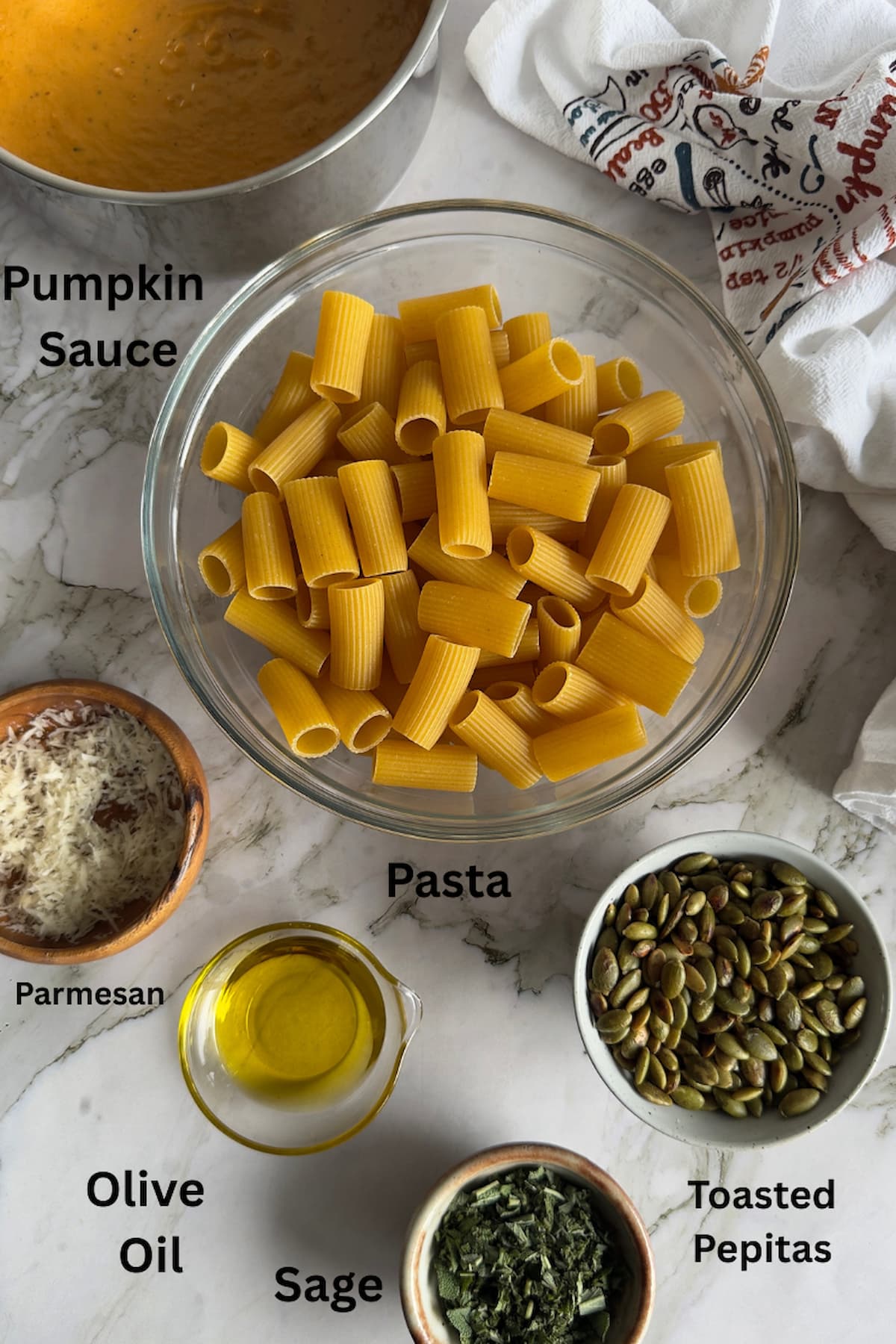 ingredients for pasta in pumpkin sauce - pasta, pumpkin sauce, olive oil, sage, parmesan, toasted pepitas