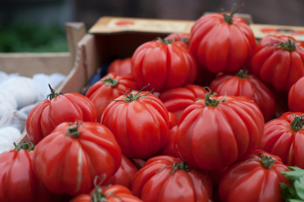 pile of heirloom tomatoes
