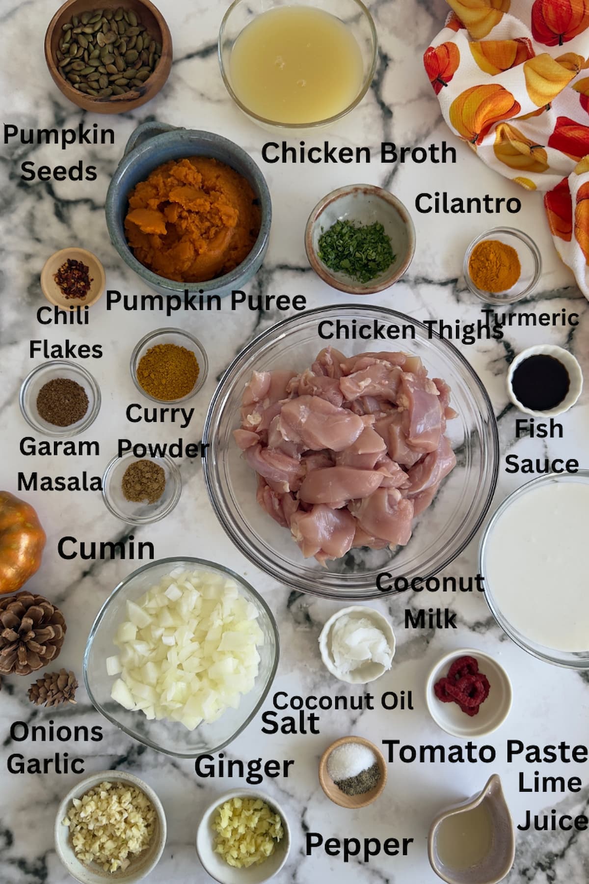 ingredients for pumpkin and chicken curry in small bowls - pumpkin seeds, pumpkin puree, chicken broth, cilantro, turmeric, garam masala, curry powder, salt, pepper, chili flakes, cumin, onions, garlic, ginger, coconut oil, tomato paste, lime juice, coconut milk, chicken thighs, fish sauce.