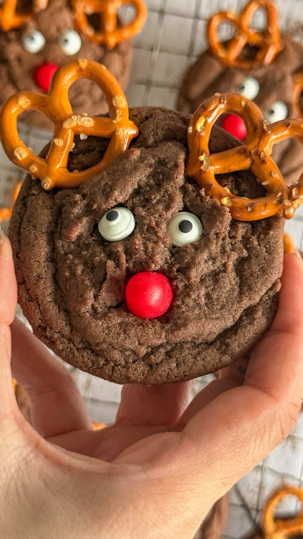 hand holding a chocolate reindeer cookie over a wire rack with more.