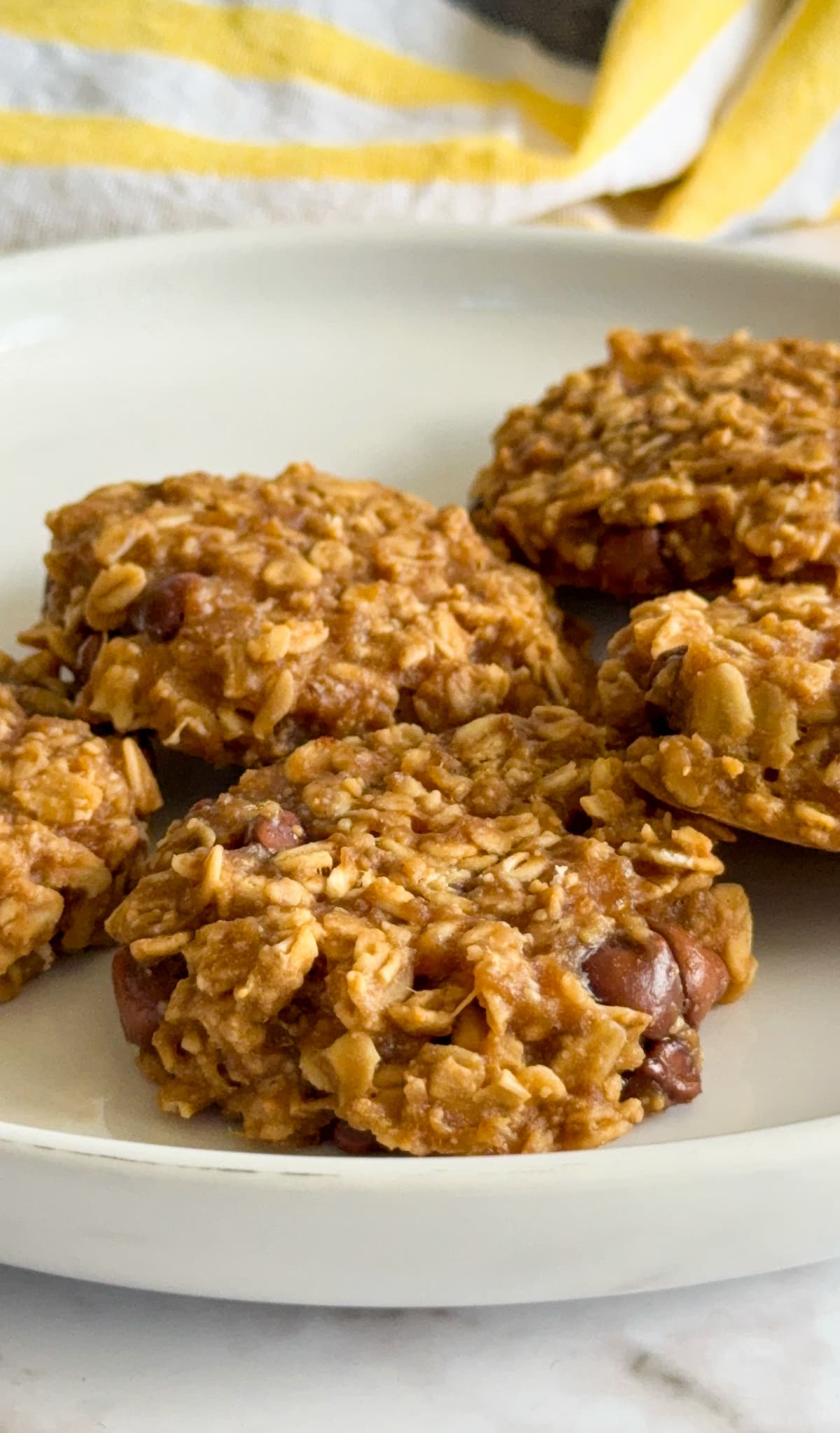 4 ingredient banana oatmeal cookies with chocolate chips on a white plate.