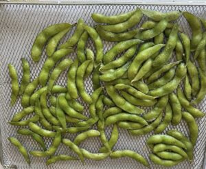 frozen salted edamame spread out on an air fryer tray.