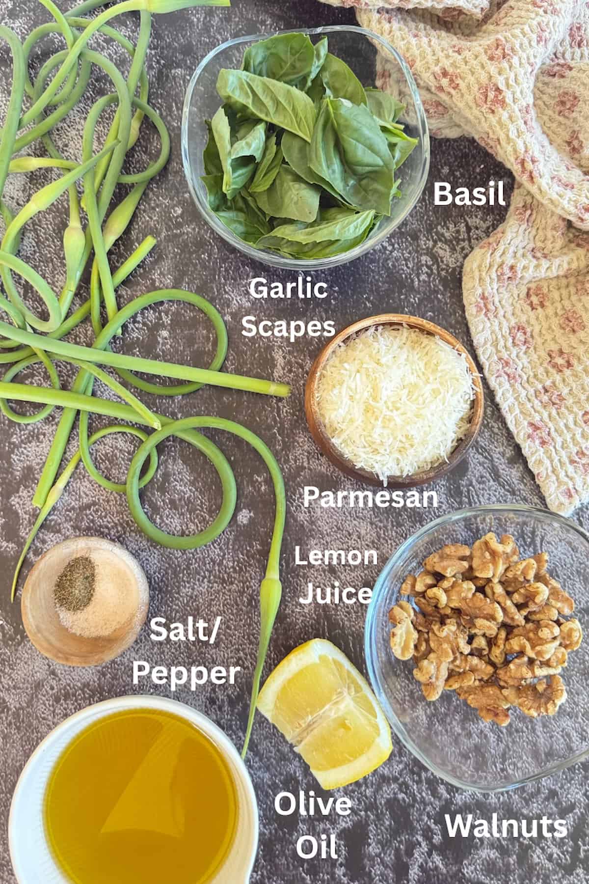ingredients to make homemade garlic scape pesto laid out in separate bowls - garlic scapes, lemon, walnuts, olive oil, basil, salt, pepper, and parmesan cheese.