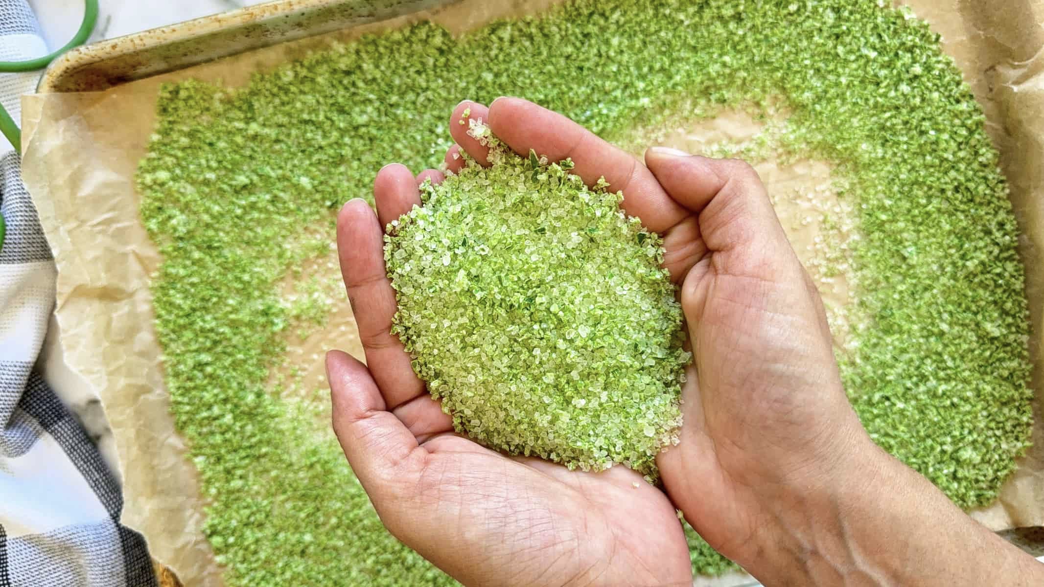 Hands holding homemade garlic scape salt over a baking sheet lined with parchment paper for drying.