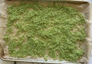 homemade garlic scape salt spread out on a parchment lined baking sheet for oven drying.