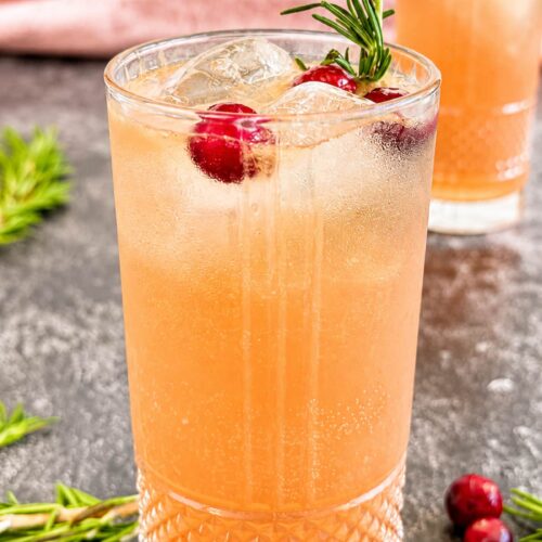 Cranberry gin fizz in a highball glass with fresh cranberries, rosemary, and ice.