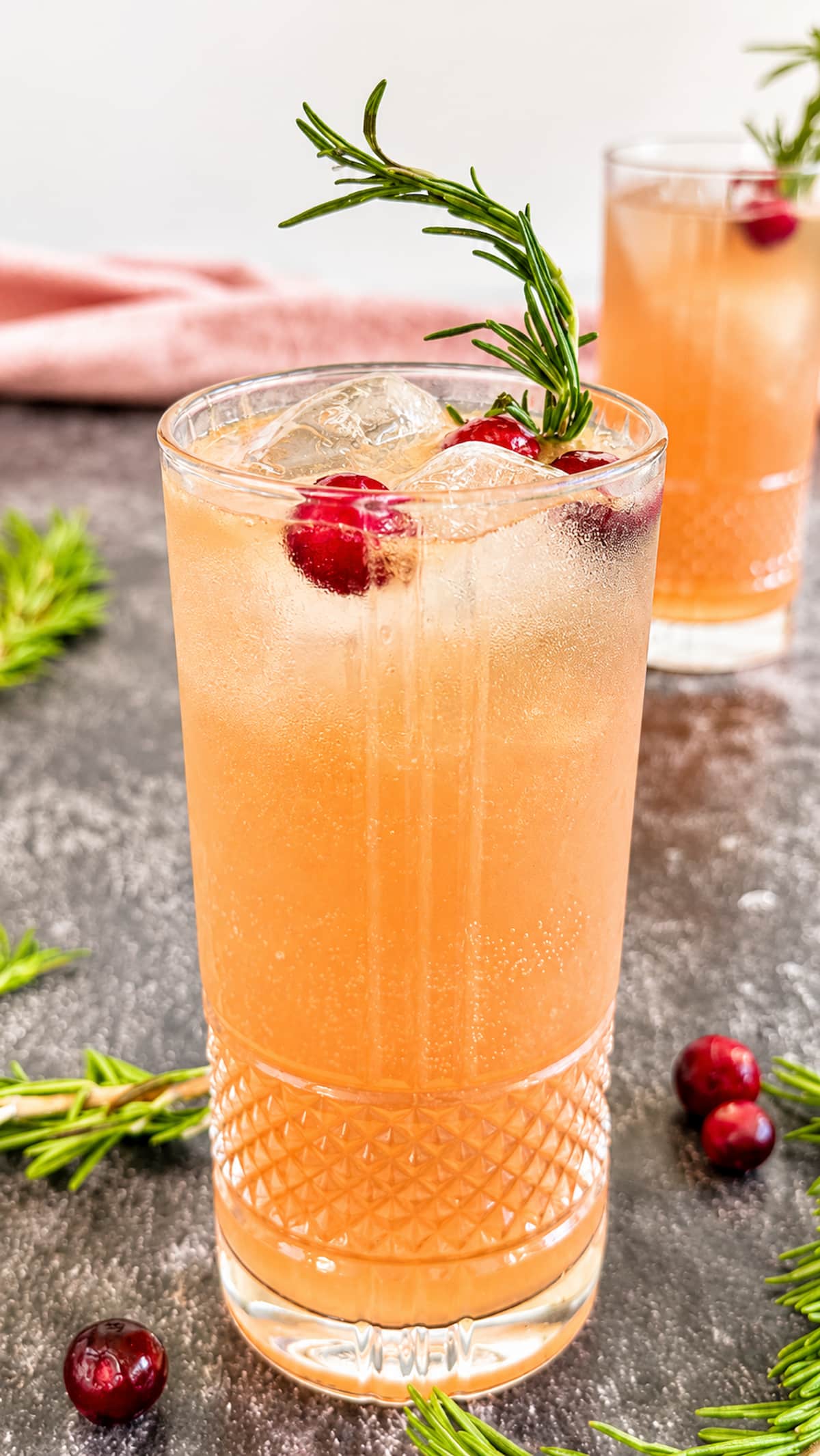 Cranberry gin fizz in a highball glass with fresh cranberries, rosemary, and ice.