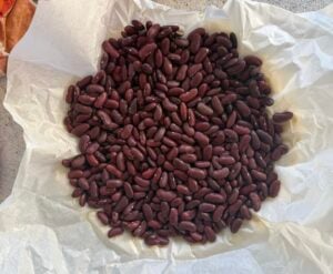 dry red kidney beans on a piece of parchment paper.